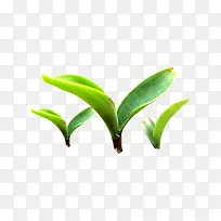 С��-������