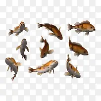 3d��ͨ��ͨ-������