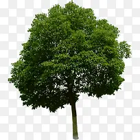 ������Ӱ������Ⱦ-������