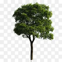 高清室外摄影创意环境渲染-空若网 高清室外摄影创意环境渲染-空若网