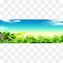 春季背景-空若网 春季背景-空若网