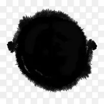 ī��ī���ز�-������