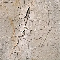 ����ǽ�ڱ���-������