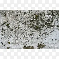 ǽ�ڱ�������-������