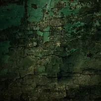 ���Ʊ�������-������