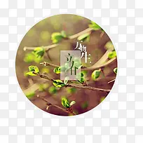 Á¢´º½ÚÈÕÔªËØ-¿ÕÈôÍø Á¢´º½ÚÈÕÔªËØ-¿ÕÈôÍø