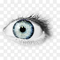 眼睛素材-空若网 眼睛素材-空若网