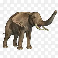 ����ӵĴ�������ز�-������