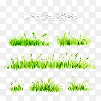 水彩画的草丛-空若网 水彩画的草丛-空若网