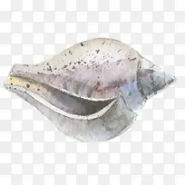 矢量手绘海螺-空若网 矢量手绘海螺-空若网