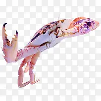 Ϻзʵ��װ�� ����ز�-������