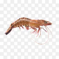 虾蟹素材实物装饰免抠素材-空若网 虾蟹素材实物装饰免抠素材-空若网