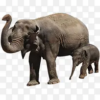 ���ն��������Ӱ-������