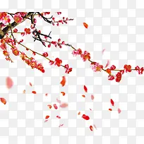 海棠花枝-空若网 海棠花枝-空若网