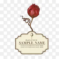 标签玫瑰-空若网 标签玫瑰-空若网