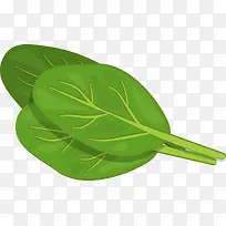 ��ɫ�߲�Ҷ��-������