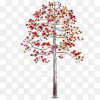 红色乔木手绘大树-空若网 红色乔木手绘大树-空若网