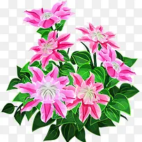 ����-������