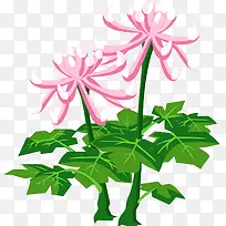 花树-空若网 花树-空若网