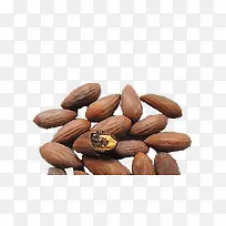 散落的香榧-空若网 散落的香榧-空若网