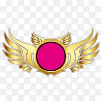 肩章徽标金色效果-空若网 肩章徽标金色效果-空若网