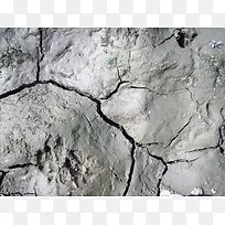 �����ѷ챳��-������