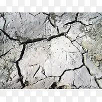 �������Ʊ���-������