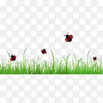 ư³æ¼ôÌù»-¿¨Í¨²Ý-¿ÕÈôÍø ư³æ¼ôÌù»-¿¨Í¨²Ý-¿ÕÈôÍø