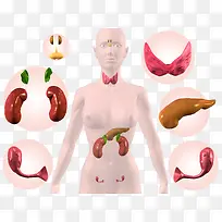 Ů���ڷ���ϵͳ-������