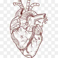 �ֻ���������ʸ���ز�-������