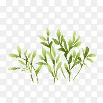 绿色的草-空若网 绿色的草-空若网