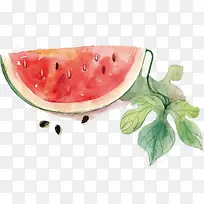 水彩西瓜仁插图-空若网 水彩西瓜仁插图-空若网
