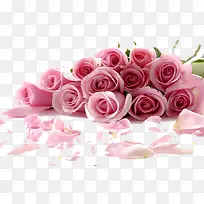 红色玫瑰花效果摄影图-空若网 红色玫瑰花效果摄影图-空若网