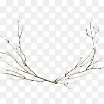 树枝装饰-空若网 树枝装饰-空若网
