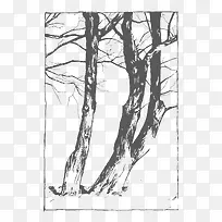 矢量枯树枝-空若网 矢量枯树枝-空若网