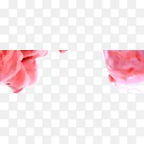 高清摄影炫彩红色花朵-空若网 高清摄影炫彩红色花朵-空若网