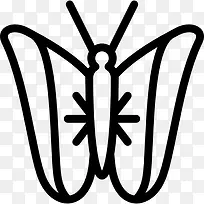 帝王蝶图标-空若网 帝王蝶图标-空若网