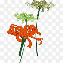 手绘多彩分层菊花装饰-空若网 手绘多彩分层菊花装饰-空若网