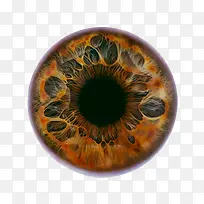 黄色水彩眼珠-空若网 黄色水彩眼珠-空若网