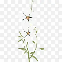 矢量雪梅花素材-空若网 矢量雪梅花素材-空若网
