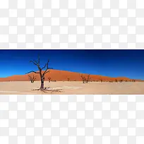 ����ɳĮ����֦����-������