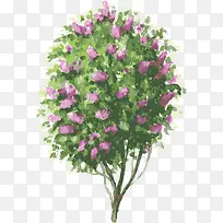 开花树矢量-空若网 开花树矢量-空若网