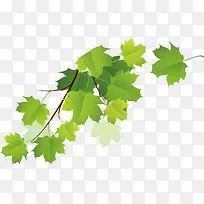 树枝工艺绿色手绘修饰-空若网 树枝工艺绿色手绘修饰-空若网