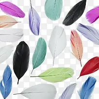 彩色羽毛背景-空若网 彩色羽毛背景-空若网
