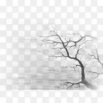 枯树插画-空若网 枯树插画-空若网
