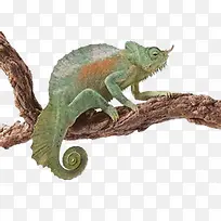 ��ʱ�ɫ��-������