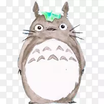 猫科鸟类啮齿类胡须鼻子-Totoro-空若网 猫科鸟类啮齿类胡须鼻子-Totoro-空若网