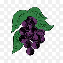 卡通葡萄卡通素材-空若网 卡通葡萄卡通素材-空若网