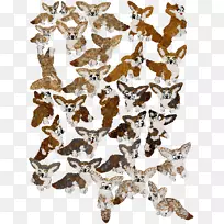 ����Ⱥ����-���κ�-������