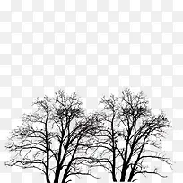 中国文化-空若网 中国文化-空若网